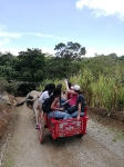 Costa Rica_110