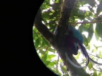 Costa Rica_204