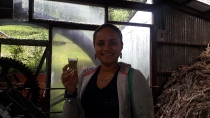 Tour de café, cañas de azúcar y chocolate en Monteverde_20