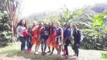 Tour de café, cañas de azúcar y chocolate en Monteverde_37