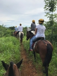 Horseback riding_5