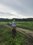 Horseback Riding_6