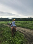 Horseback Riding_6